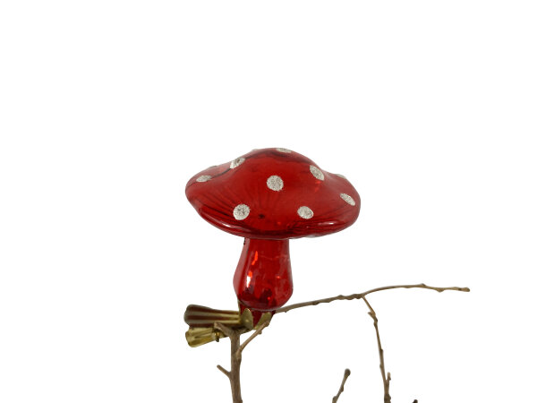 mushroom with clip