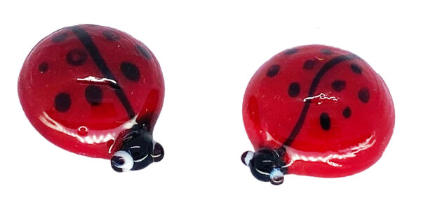 ladybug, medium