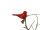 Vogel rot  mit Klipp