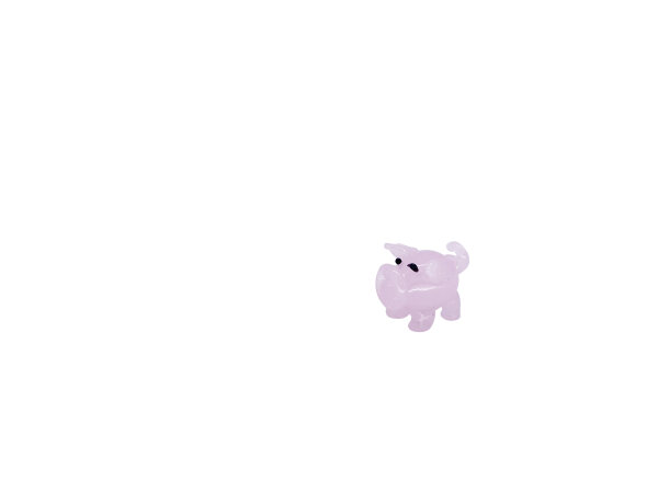 pig, small